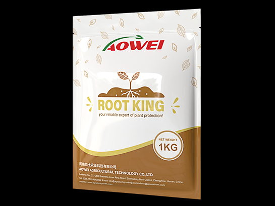 ROOT KING